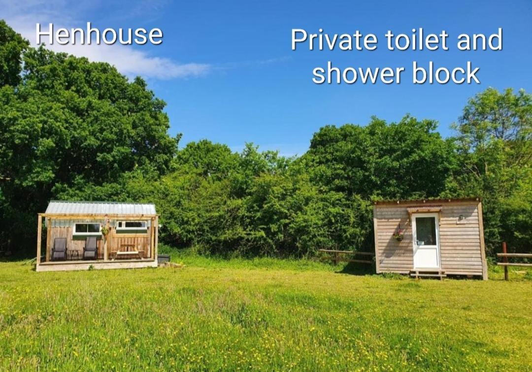 Dartmoor Reach Alpaca Farm Heated Cabins 5 Mins Drive To Dartmoor Bovey Tracey Quarto foto