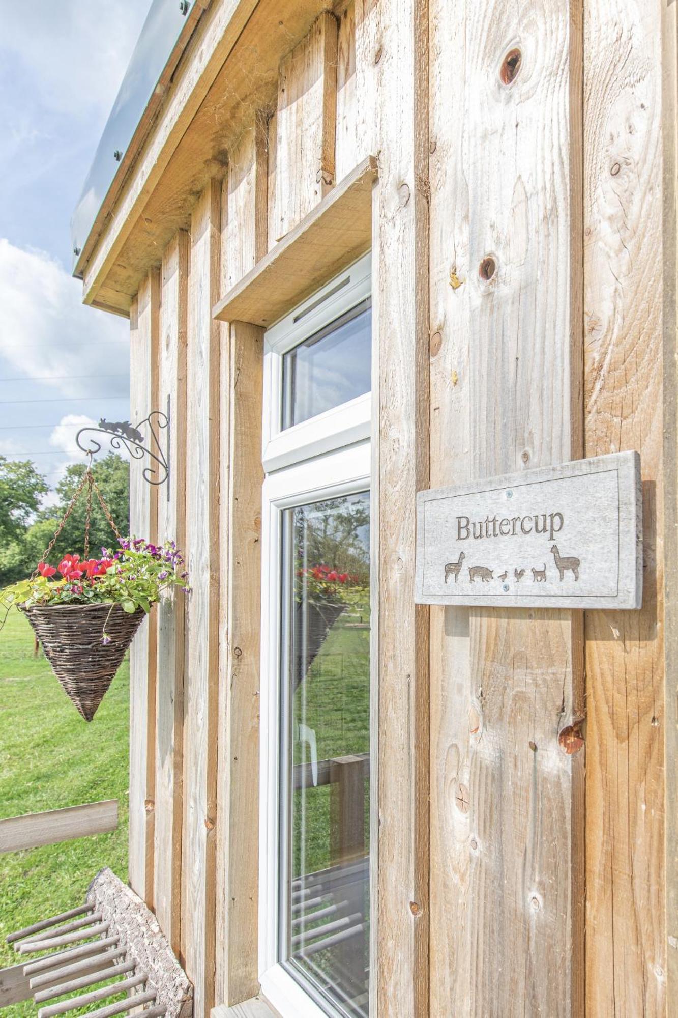 Dartmoor Reach Alpaca Farm Heated Cabins 5 Mins Drive To Dartmoor Bovey Tracey Quarto foto